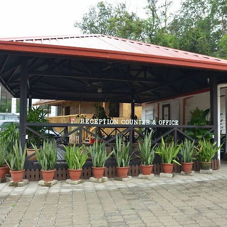Hotel Borneo Tree House Kota Kinabalu Exterior foto