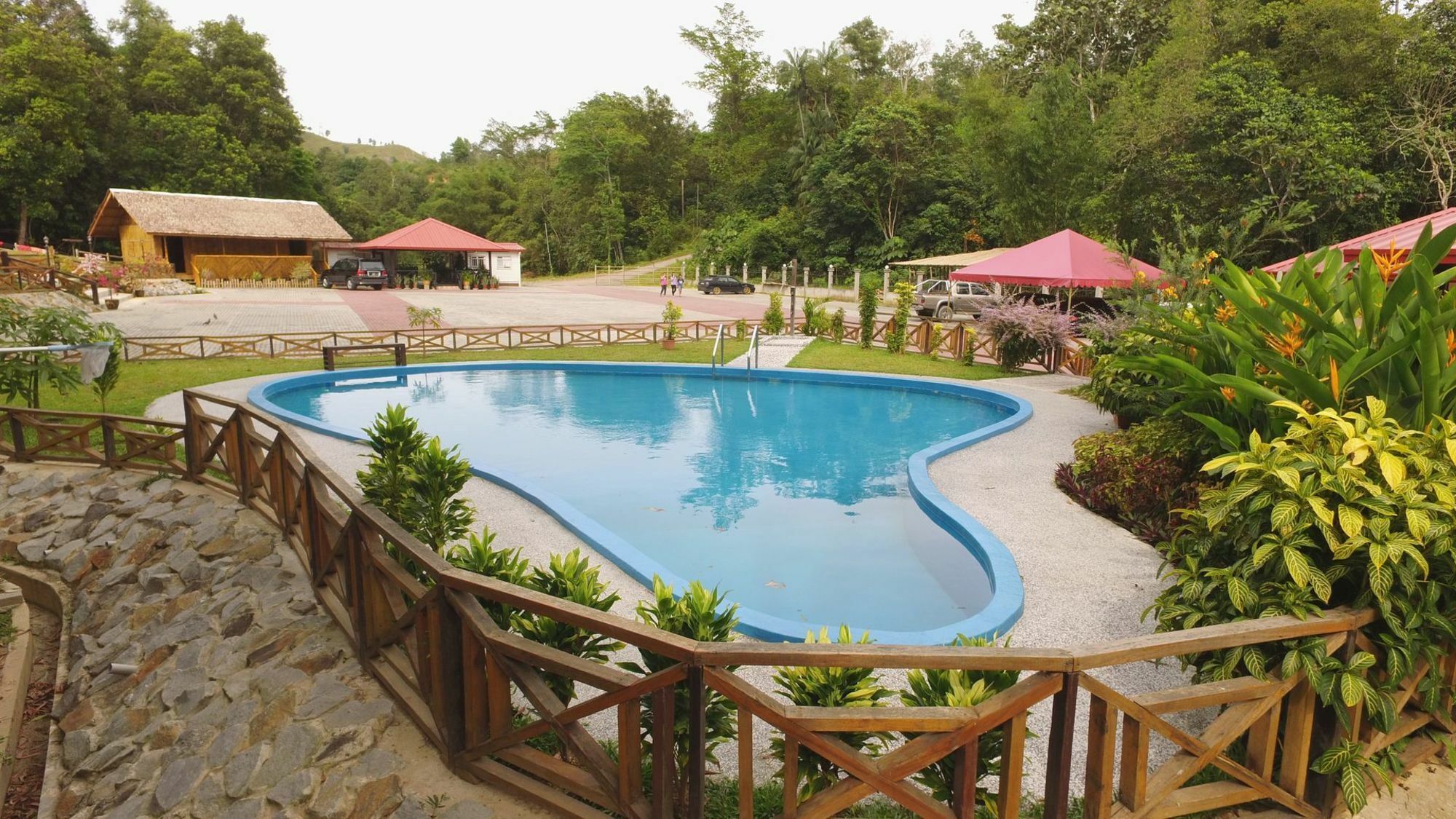 Hotel Borneo Tree House Kota Kinabalu Exterior foto