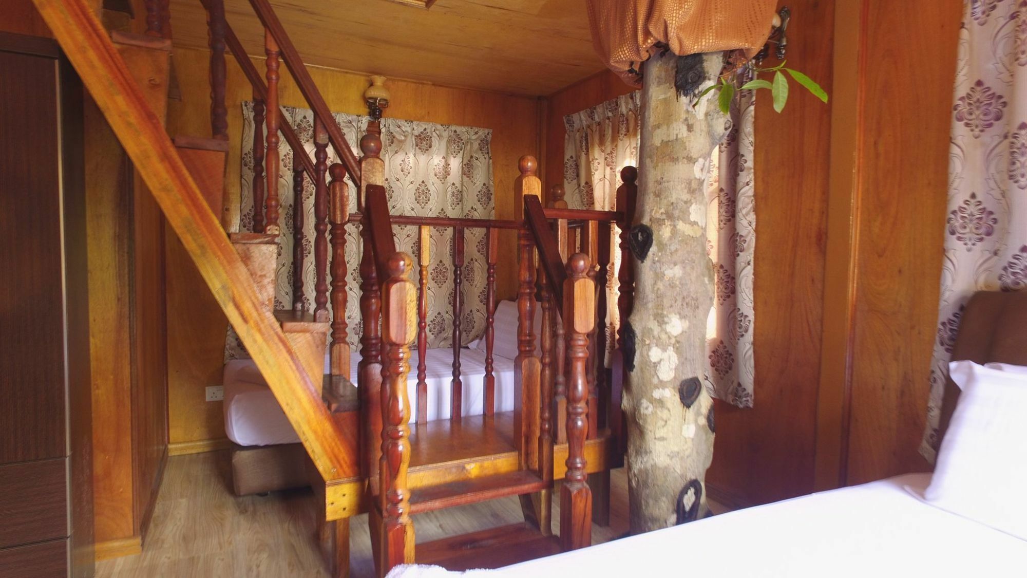Hotel Borneo Tree House Kota Kinabalu Exterior foto